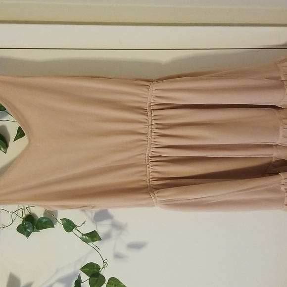 Light Pink Ruffled Dress - Picture 4 of 5